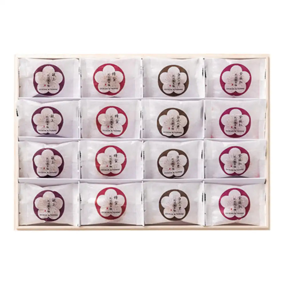 Premium 紀州南高梅 16粒 木箱入り