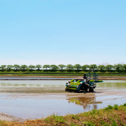 《令和7年・新米》【オリジナルブランド米】金助さんのふく福米 新潟産 こしいぶき 玄米 2kg【令和7年産】