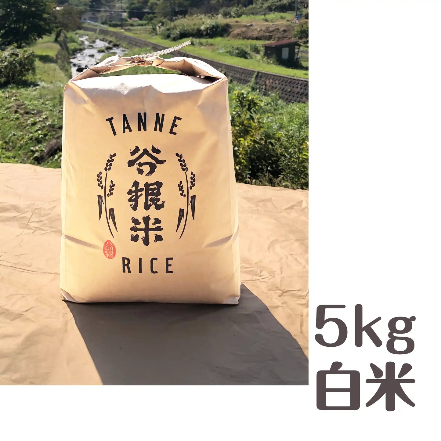 《令和7年・新米》谷根米コシヒカリ（新潟県柏崎市谷根産） 白米 5kg【令和7年産】