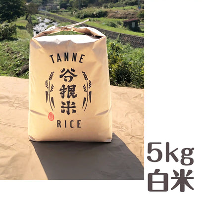 《令和7年・新米》谷根米コシヒカリ（新潟県柏崎市谷根産） 白米 5kg【令和7年産】