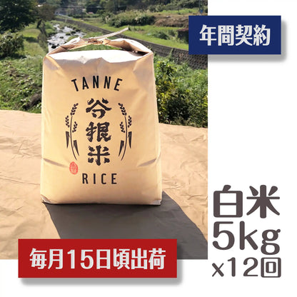 《令和7年産・新米》谷根米コシヒカリ（新潟県柏崎市谷根産） 白米 5kg×毎月15日頃12回配送・送料込み《販売数限定販売》【12ヶ月定期便】